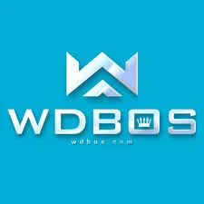 WDBOS - Petualangan Epik dalam Dunia ARPG
